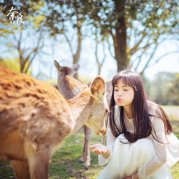 美女与小鹿唯美摄影