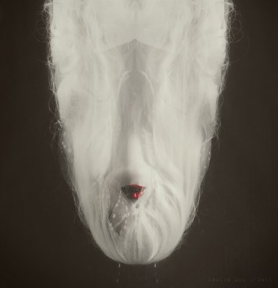 Leslie Ann O'Dell插画：敏锐的死亡触觉
