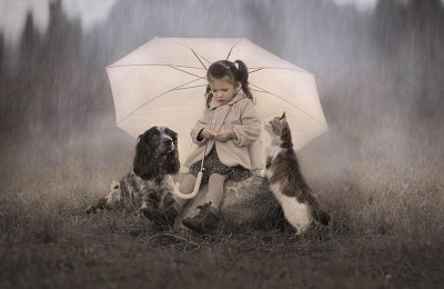 宠物和孩子相伴的温馨艺术摄影