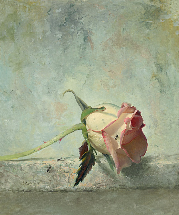 俄罗斯阿列克谢·安东诺夫（Alexei Antonov）静物油画