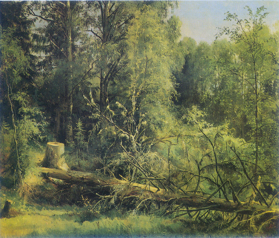 伊凡·伊凡诺维奇·希施金（Ivan I. Shishkin）风景油画