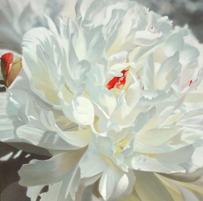 加拿大Julia Hargreaves花鸟水彩画