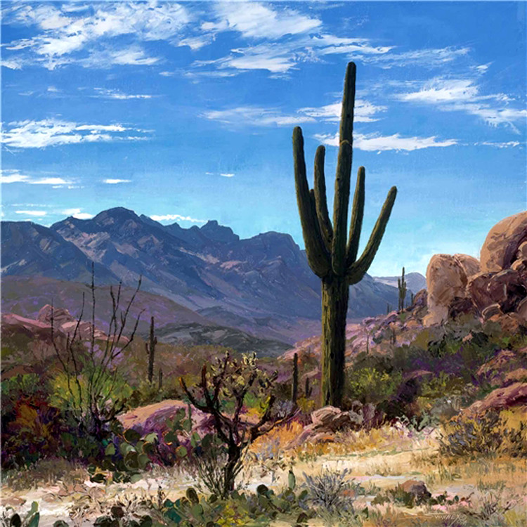 美国Swinney Carol风景油画作品欣赏
