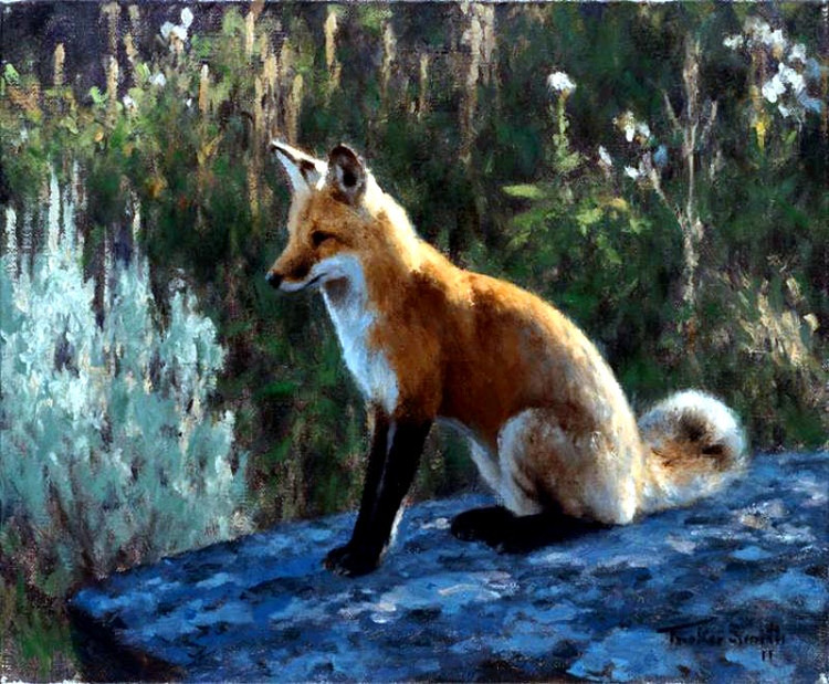 美国Tucker Smith风景油画作品欣赏