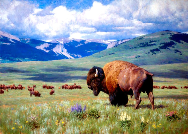 美国Tucker Smith风景油画作品欣赏