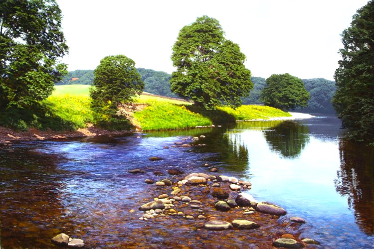英国Michael James Smith风景油画作品欣赏
