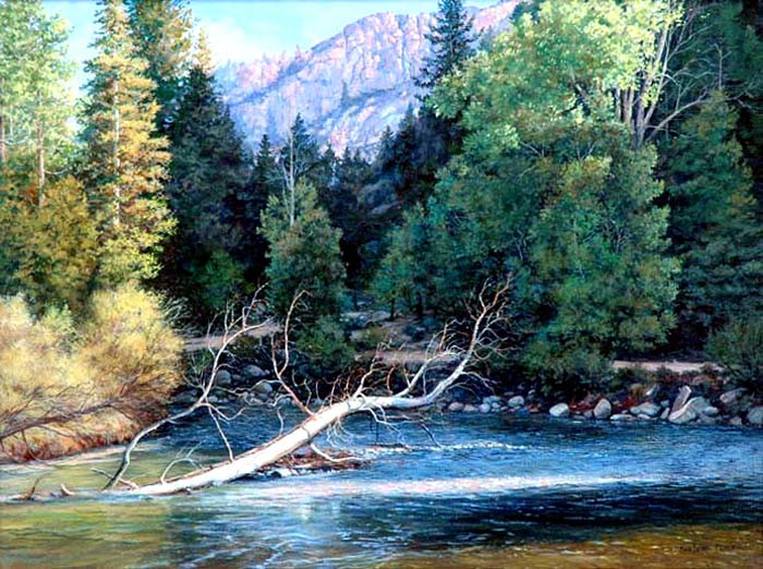 美国Barbara Conley风景油画作品欣赏