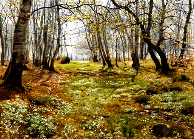 美国Christian Zacho风景油画作品欣赏