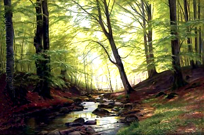 美国Christian Zacho风景油画作品欣赏