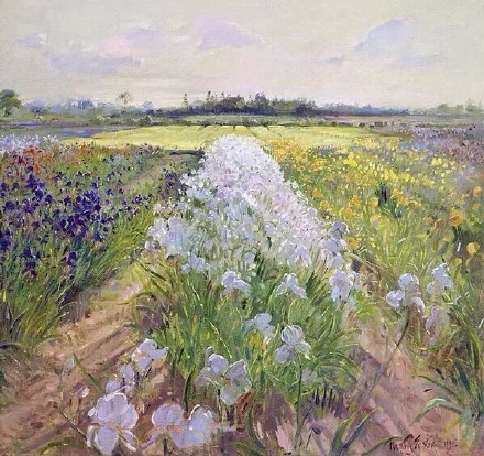 英国画家蒂莫西·伊斯顿（Timothy Easton）风景油画作品欣赏