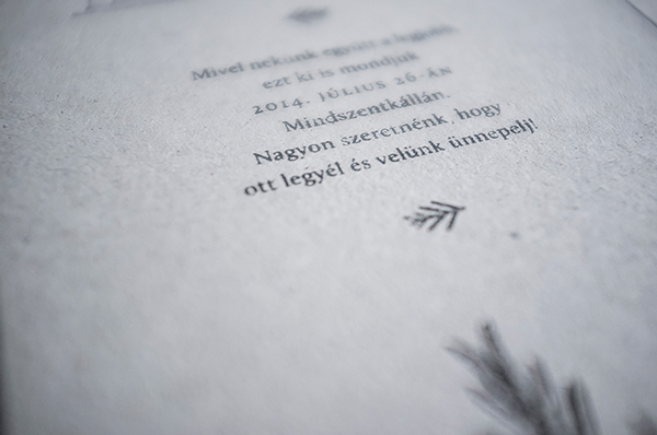 Zsófi's wedding 个性婚礼邀请函平面设计欣赏