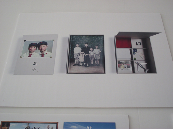 中国设计大展平面设计类入选作品欣赏（五）