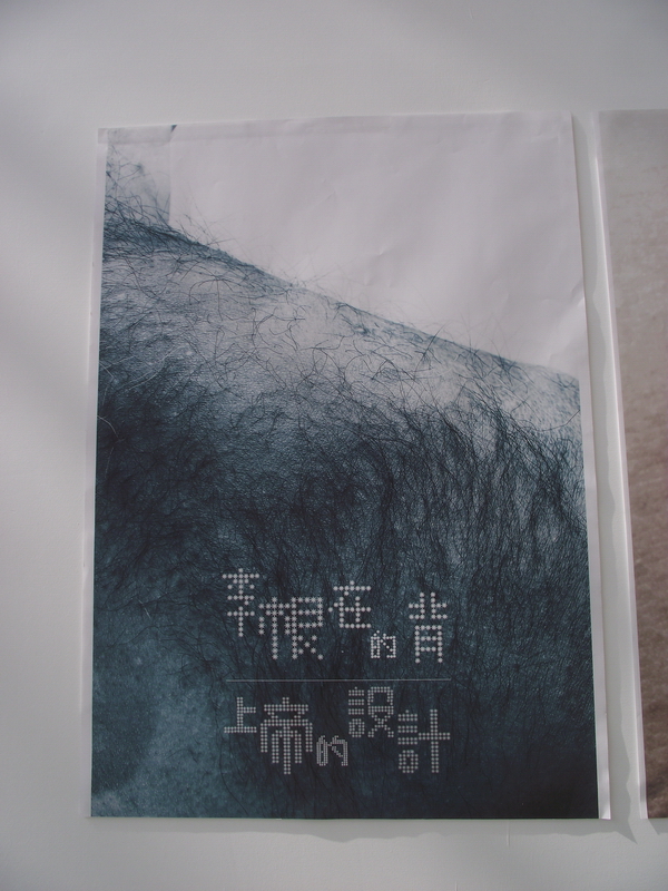中国设计大展平面设计类入选作品欣赏（三）