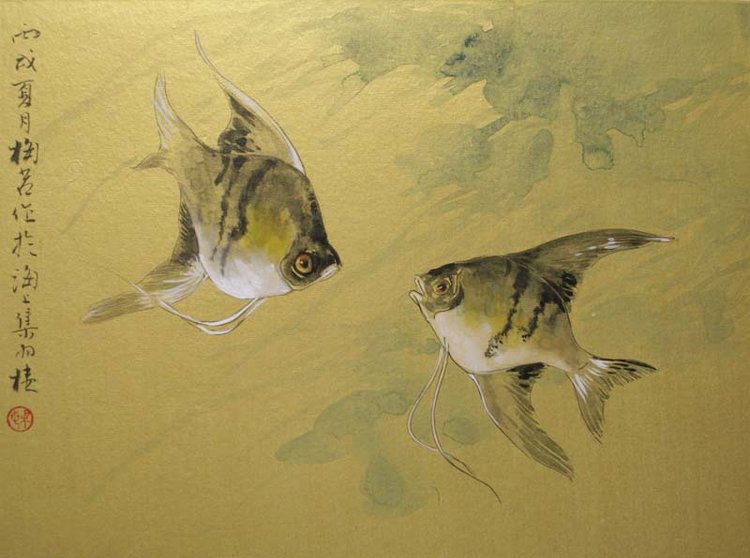 梅若国画花鸟作品