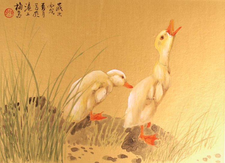 梅若国画花鸟作品