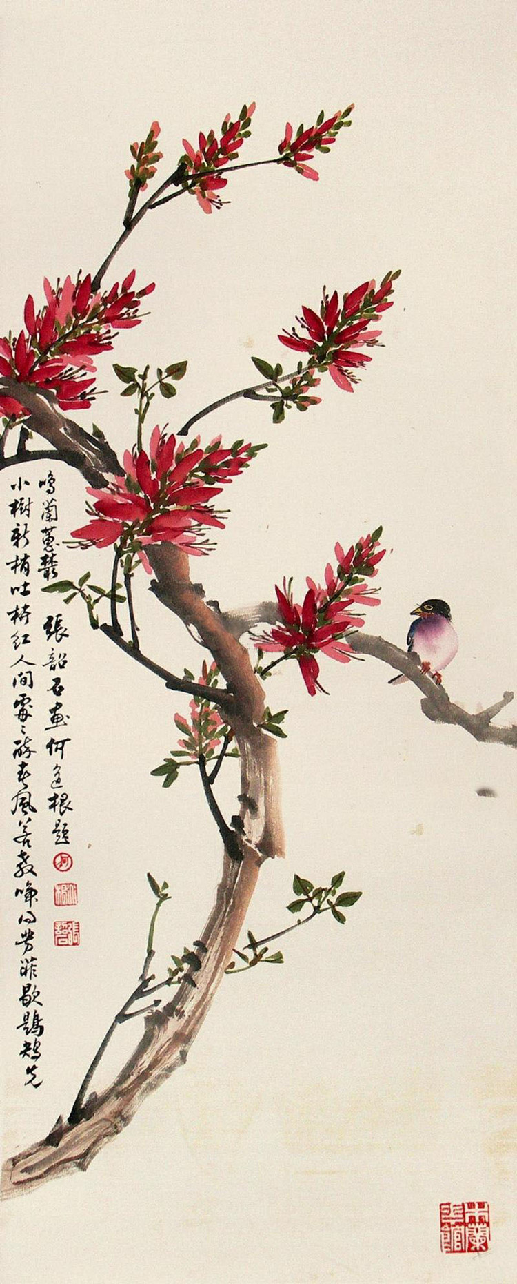 张韶石国画花鸟作品
