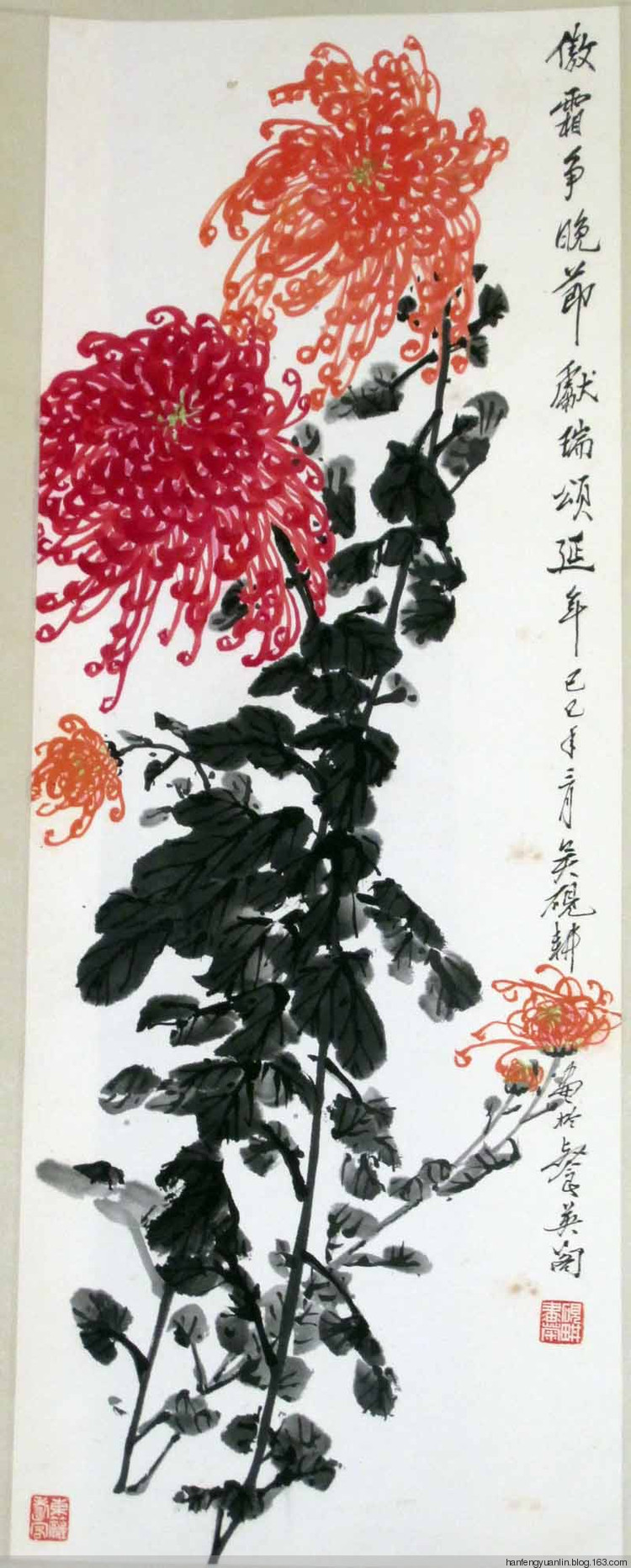 吴砚耕菊花作品