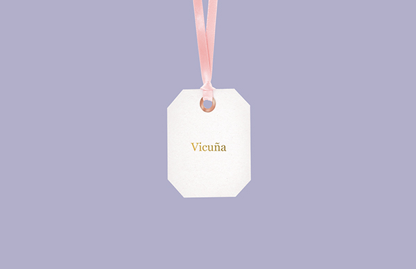 埃及开罗时尚品牌Vicu&#241;a视觉VI设计