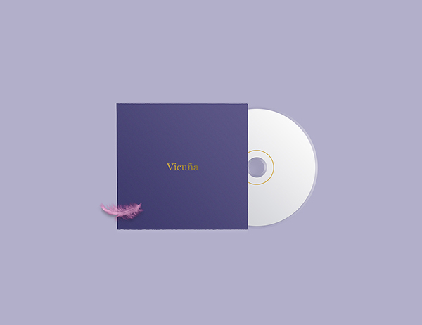 埃及开罗时尚品牌Vicu&#241;a视觉VI设计
