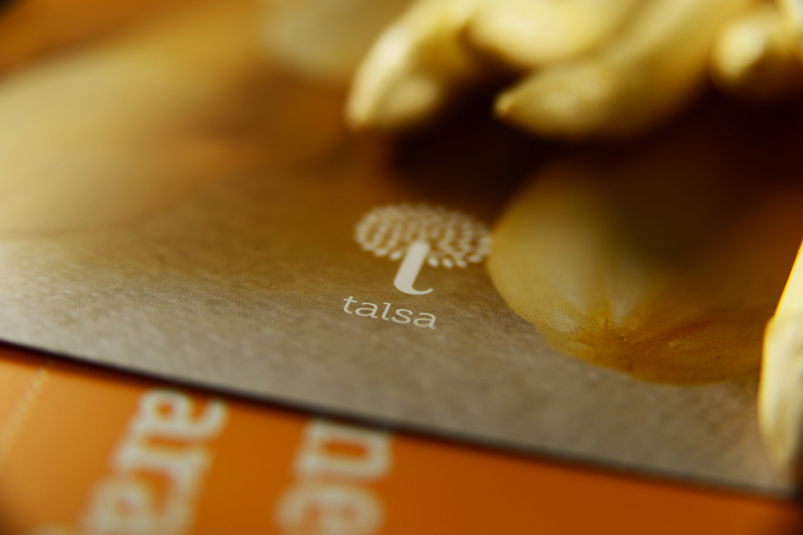 Talsa 水果蔬菜的展会vi视觉设计欣赏