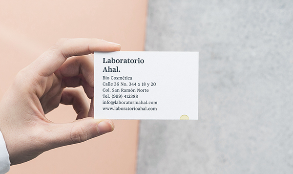 Laboratorio Ahal 品牌形象vi设计