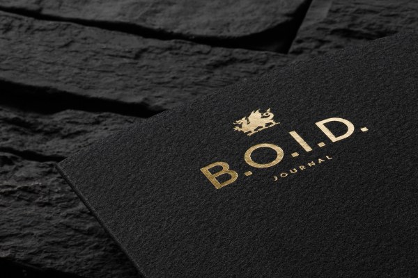 高档的B.O.I.D.在线杂志VI设计