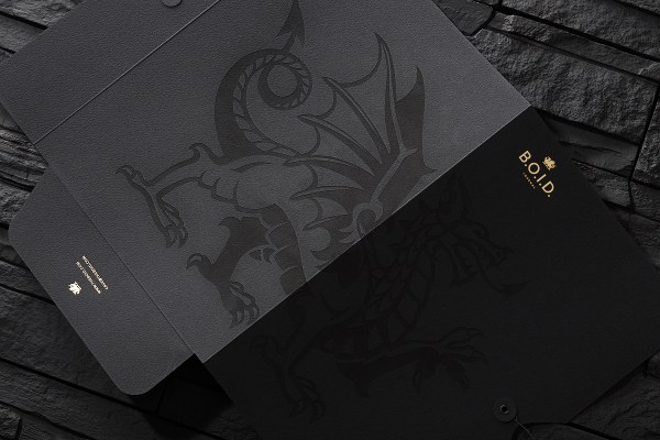高档的B.O.I.D.在线杂志VI设计