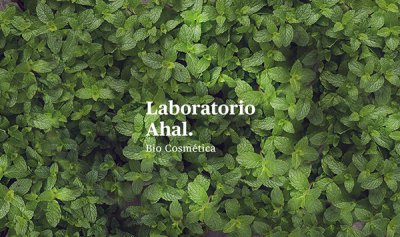 Laboratorio Ahal 品牌形象vi设计