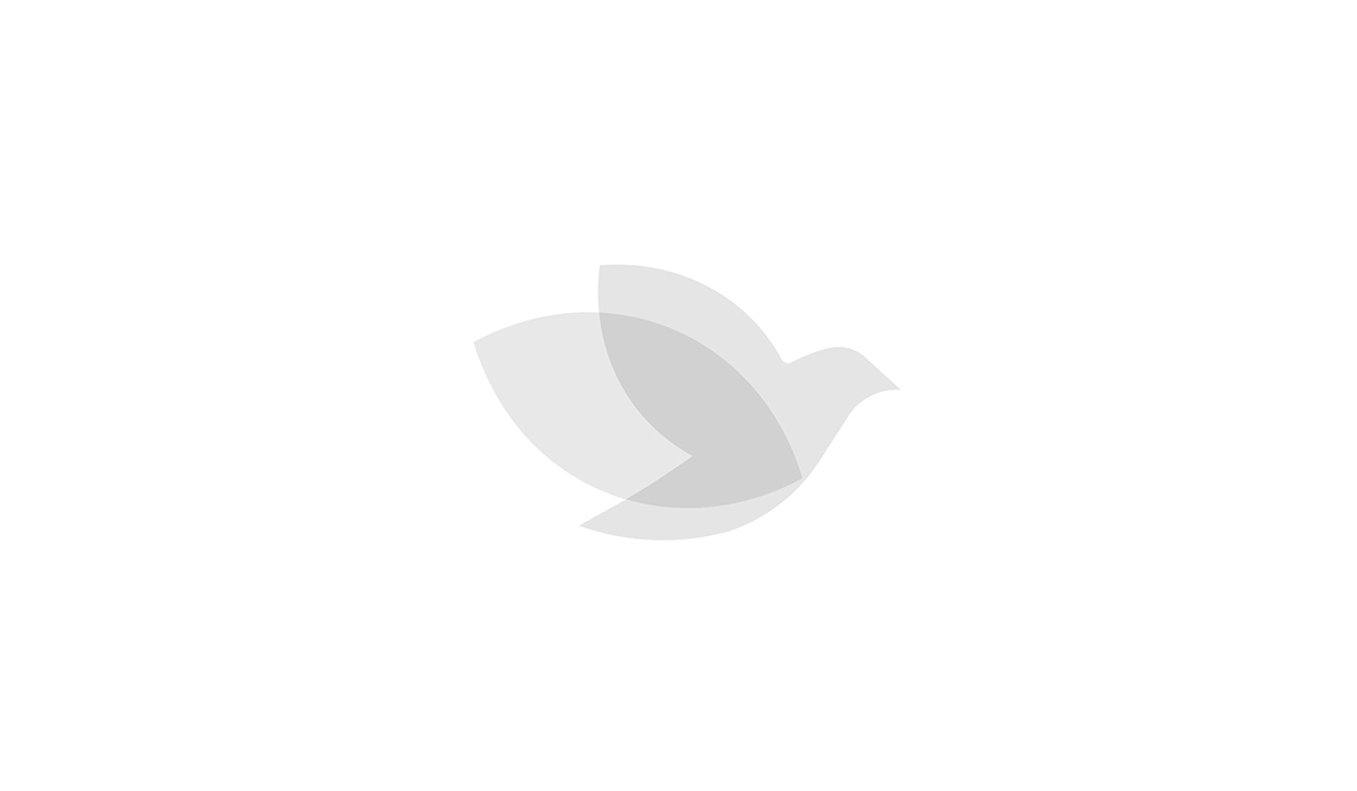 SPA美女会所LOGO设计欣赏