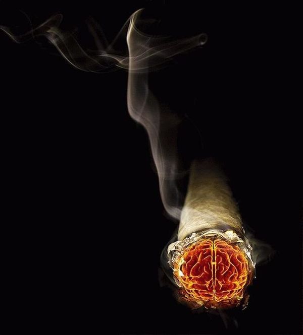 创意广告:奇思妙想