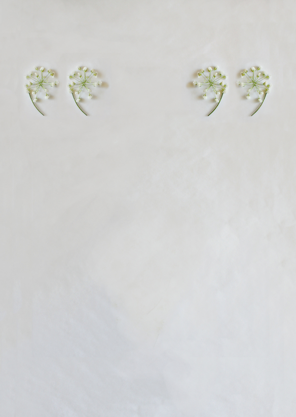 Keziah Chong满天星字体设计
