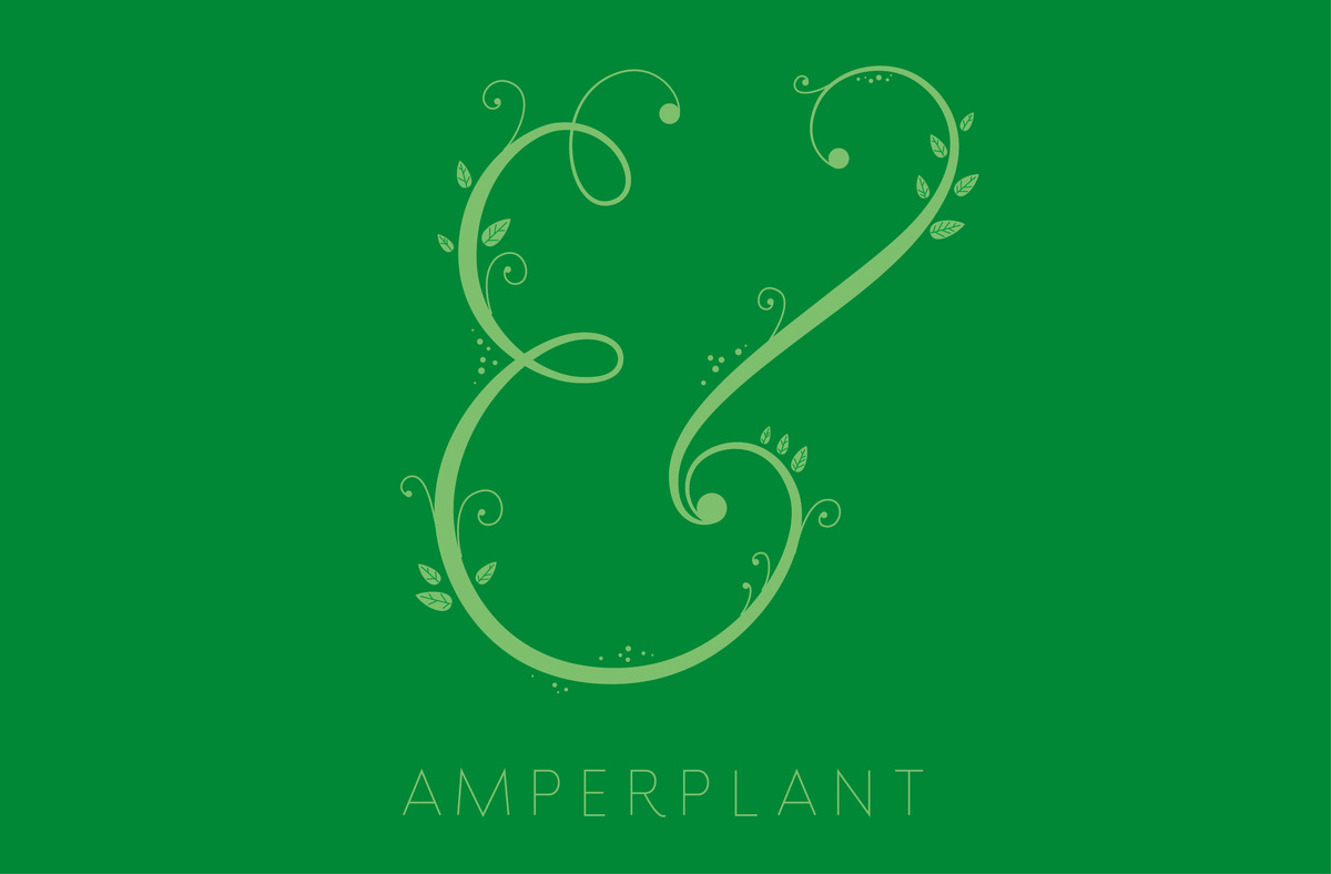 The Amperclan有趣的插画字体设计