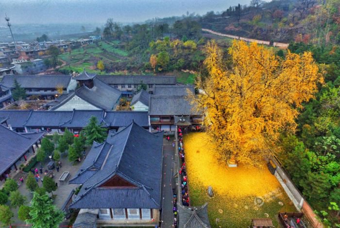 西安终南山古观音禅寺：刹那芳华