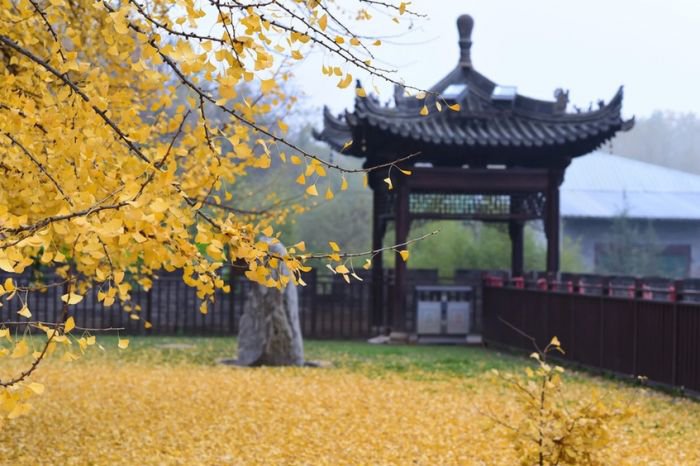 西安终南山古观音禅寺：刹那芳华