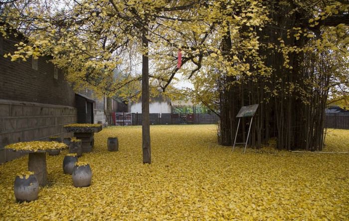 西安终南山古观音禅寺：刹那芳华