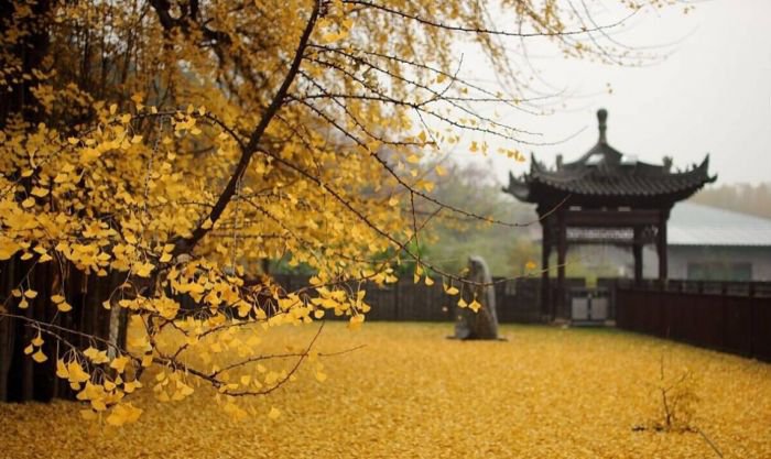 西安终南山古观音禅寺：刹那芳华