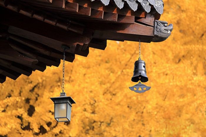 西安终南山古观音禅寺：刹那芳华