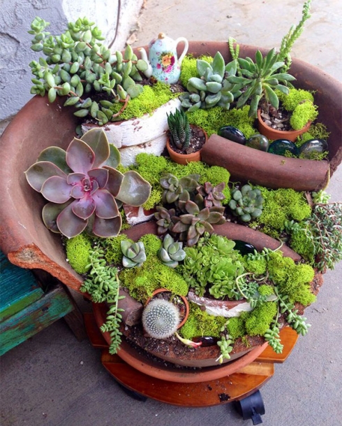 环艺高手破花盆DIY美丽精灵花园Fairy Garden