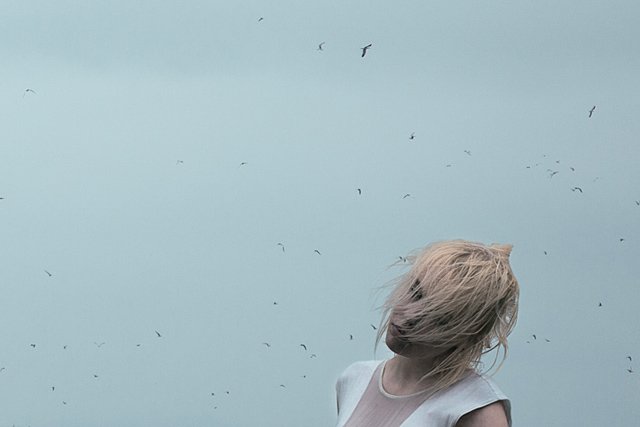 摄影师Brendon Burton 丛林漫游记