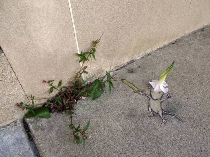 粉笔画艺术大师David Zinn 他靠一支粉笔在路上养了29年动物