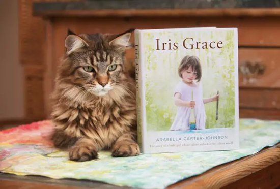 Iris Grace 被一只猫治愈了的孤独症小萝莉和她的画
