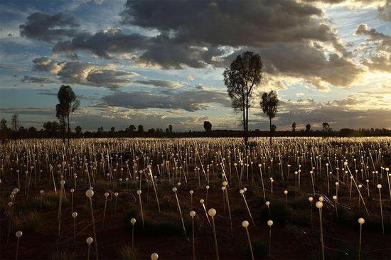 艺术家布鲁斯·芒罗  5万盏灯点亮沙漠 