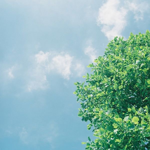 毕淑敏：我对生命悲观 ，但不厌倦生活