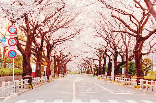 早安心语：只要内心不乱，外界就很难改变你什么