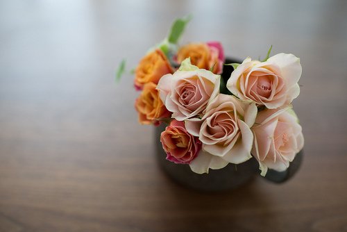 早安心语：要的不多，所以容易满足