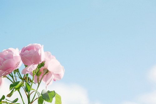 早安心语：能控制住自己嘴巴的人，都很厉害，不管是说话或是吃