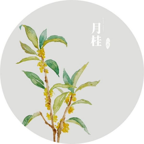 晚安心语：不是去爱那个本来就很美的人；而是去爱那个能使你的世界变美的人