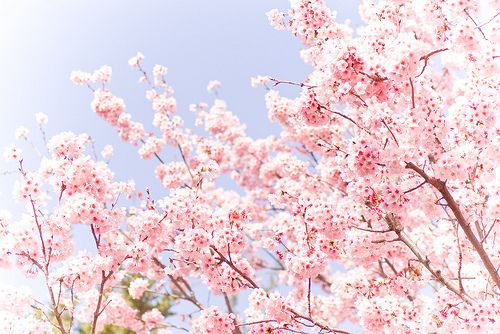晚安心语：你可以随时转身，但是不能一直后退