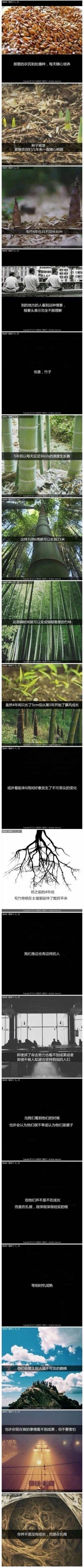 你不是没有成长，而是在扎根