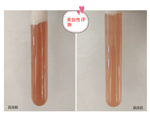 雪肌精化妆水盈润型 既可以补水保湿还能美白